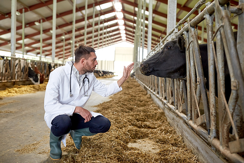 Highlights on Veterinary Pharmacopoeia (2020 Edition)