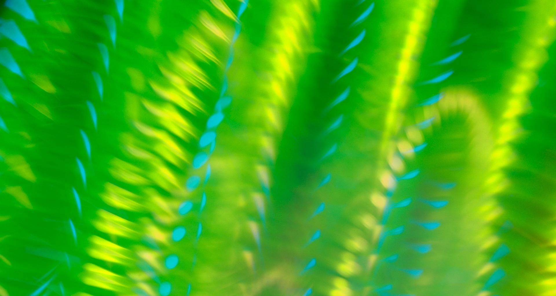 Abstract green spirals - 1920 x 1024