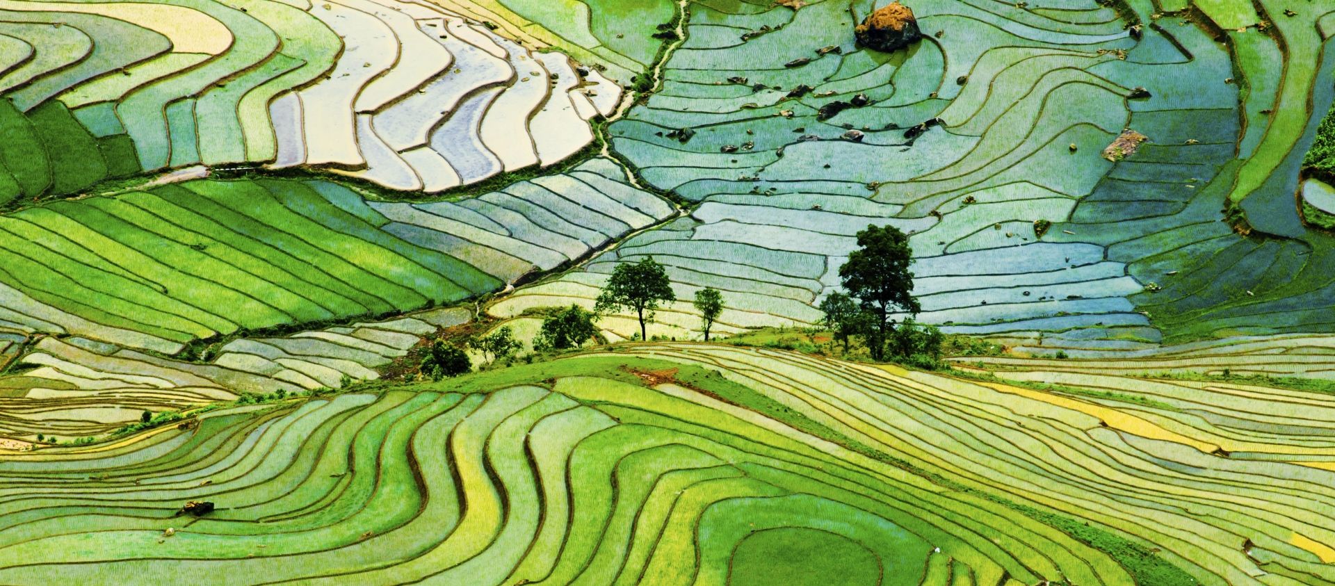 Vietnam header
