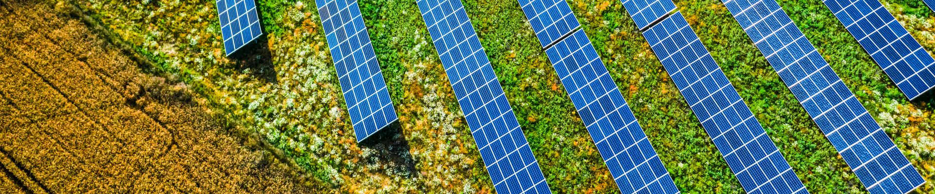 Aerial view of blue solar panels on green field