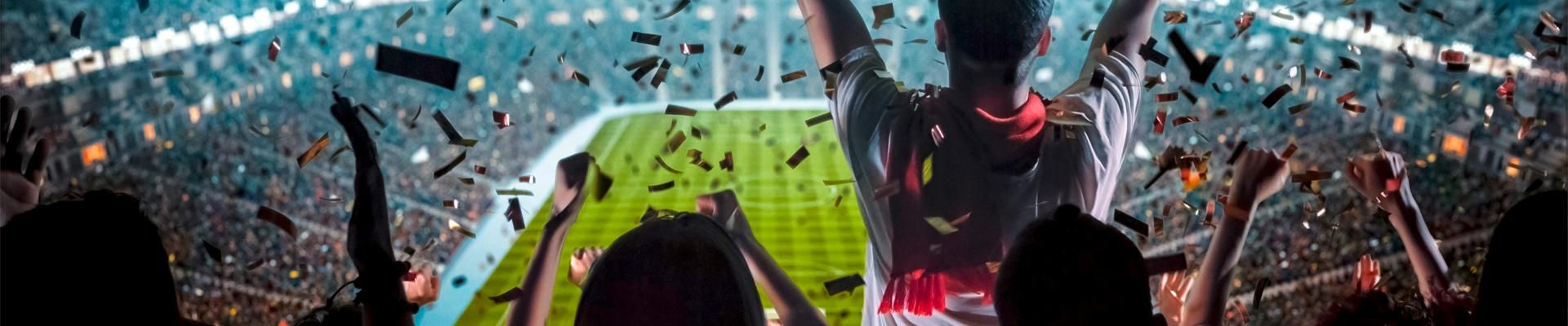fans at a stadium