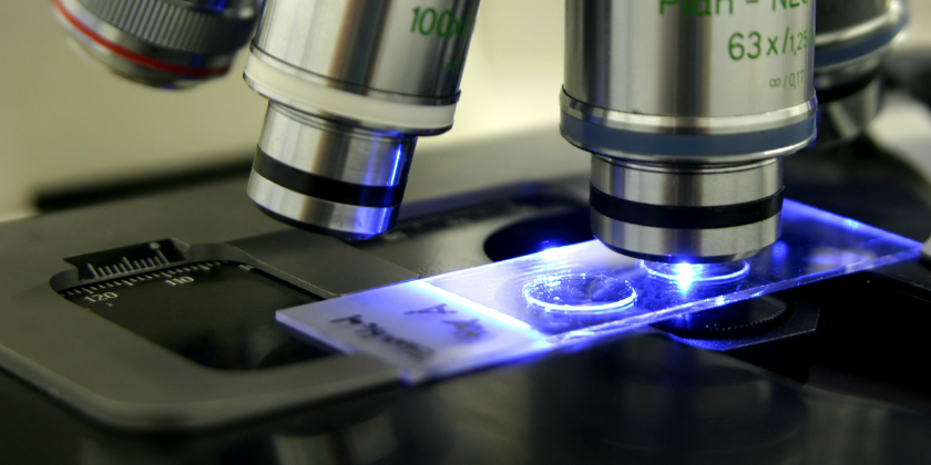 Microscope