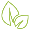 leaves icon