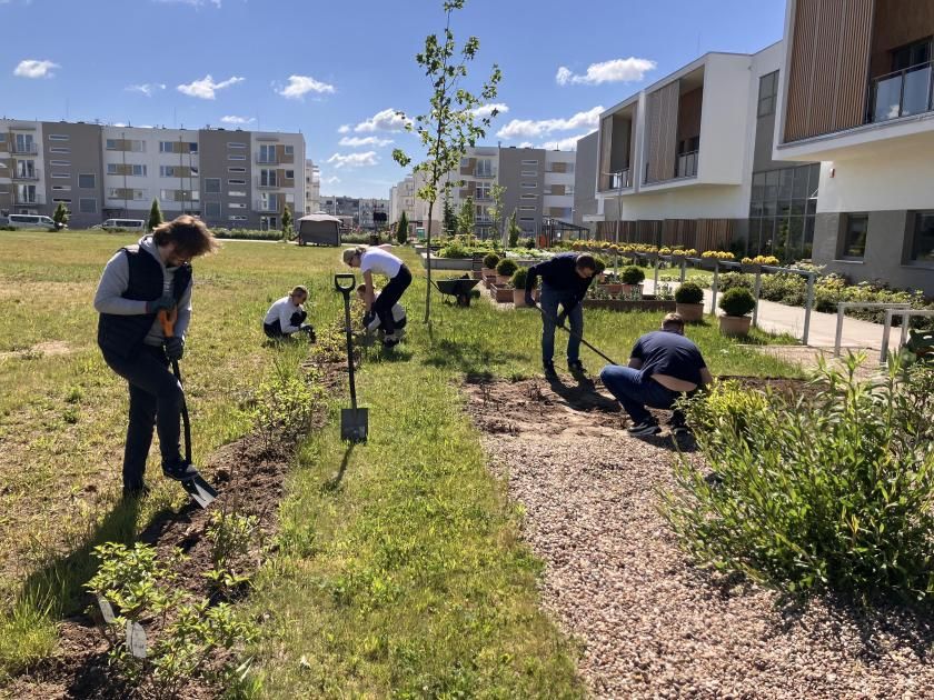 Volunteering in Poznan
