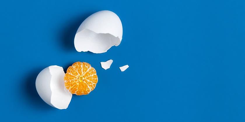 egg