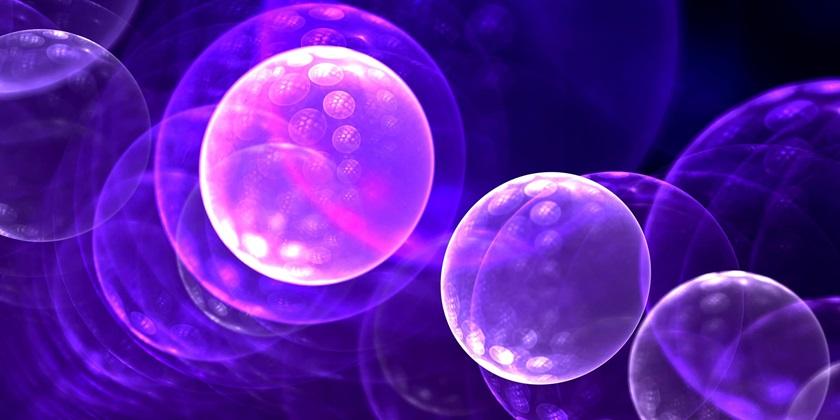 Synthetic purple and pink cells 840x420
