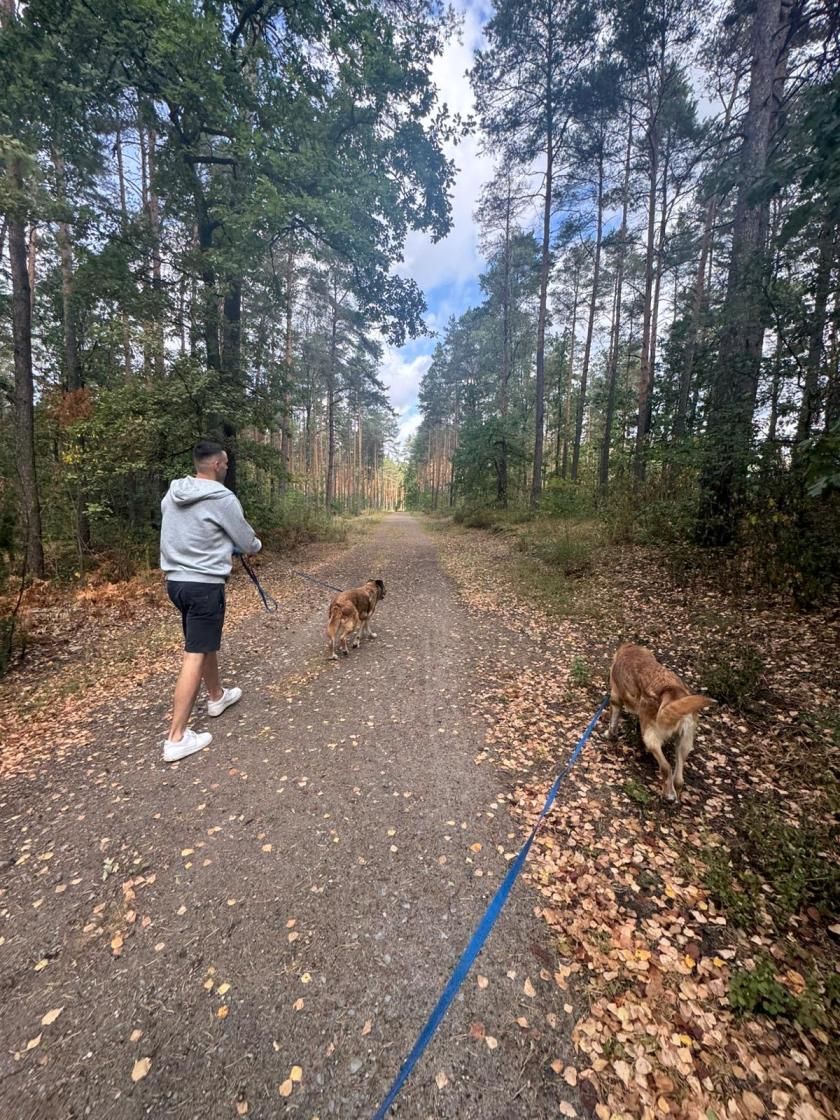 Volunteering at an animal shelter