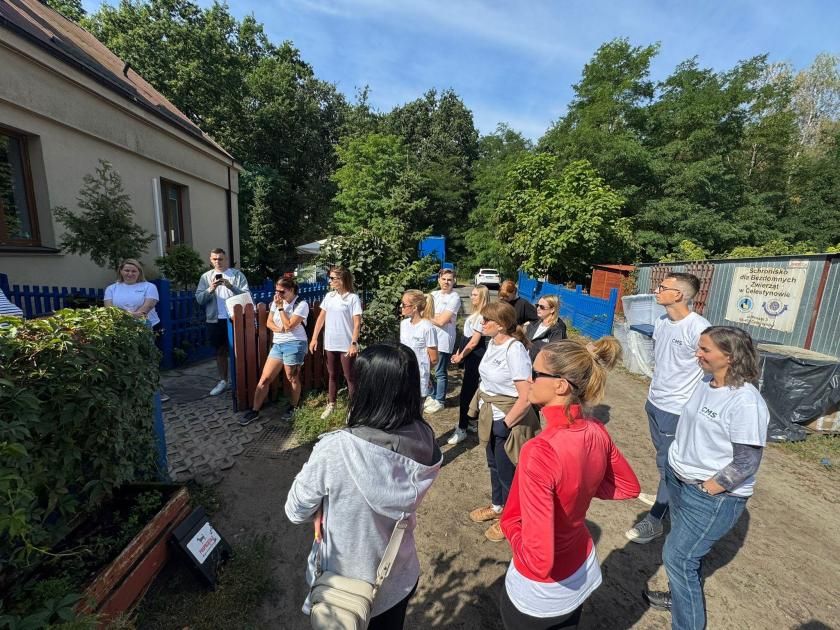 Volunteering at an animal shelter