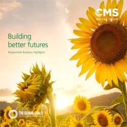 CMS CR Review brochure cover