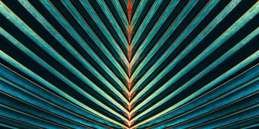Abstract green texture background