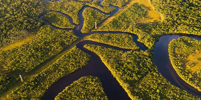 overhead view of amazon rainforest