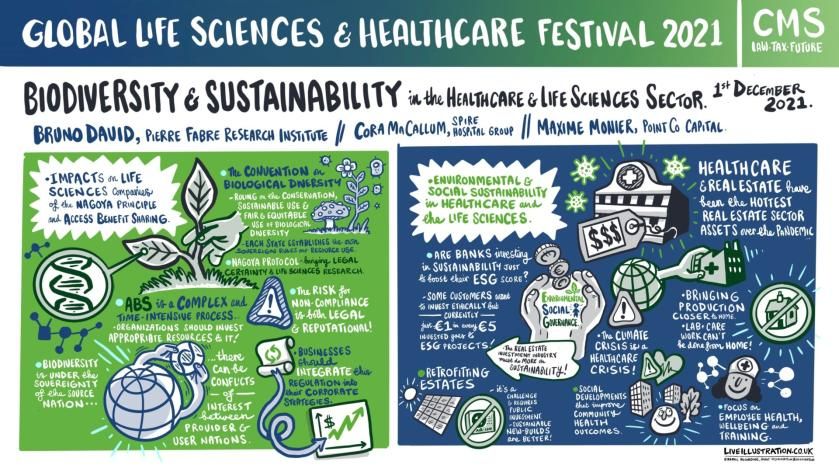 Global LSHC Festival - illustrations - Day 3