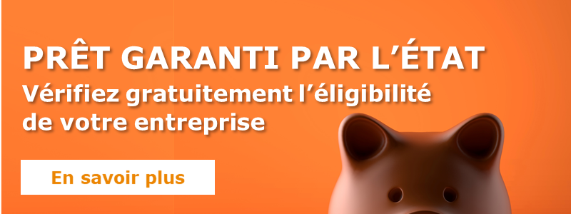 prêt garanti par l etat PGE 800x300