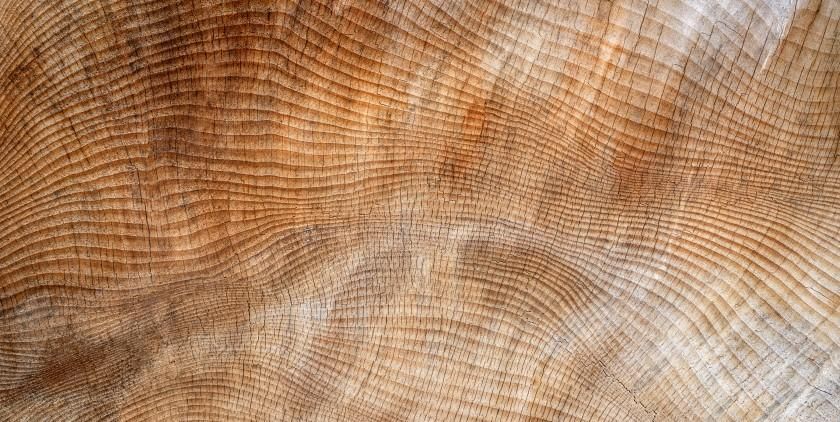 CMS advises Mayr-Melnhof Holz Holding Group