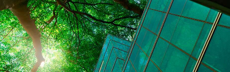 Sustainability Blog for Essential ESG Updates and Legislative Tracking