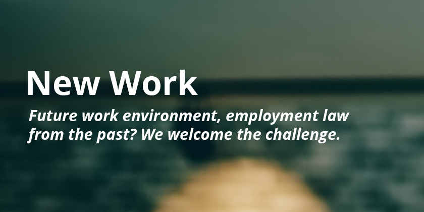 Future work environment, employment law from the past? We welcome the challenge.