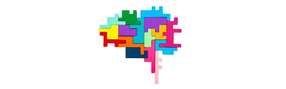 brain jigsaw puzzle