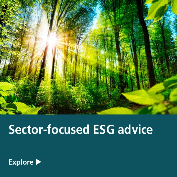 sector focused esg advice - green forest