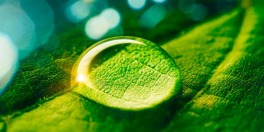 The Renewable Energy Law Review