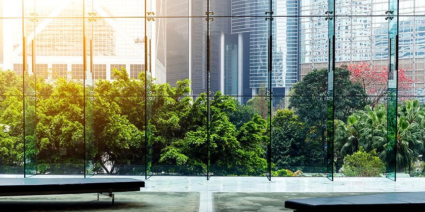view of street garden through large glass windows