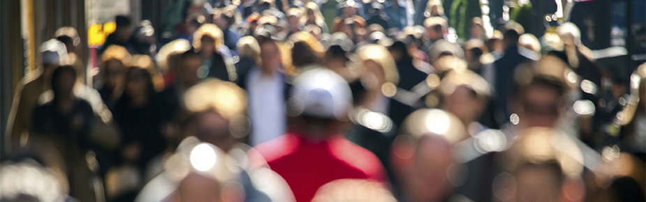 Comprehensive Guide to Public Procurement Regulation by CMS