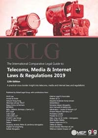 ICLG 2019