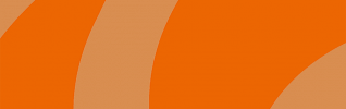 CMS Abstract - Orange - 925x290.png