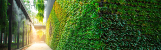 Green wall vertical garden friendly green nature eco friendly design landscape in building