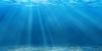 Tranquil-underwater-scene