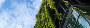 roof garden coming down the side of a glass building