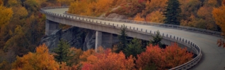 winding road autumn trees