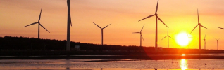 windfarm at sunset