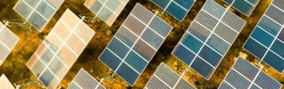 field of solar panels