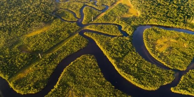 Amazon Rainforest in Brazil
