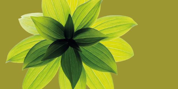 Green flower