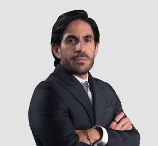 Luis Fernández