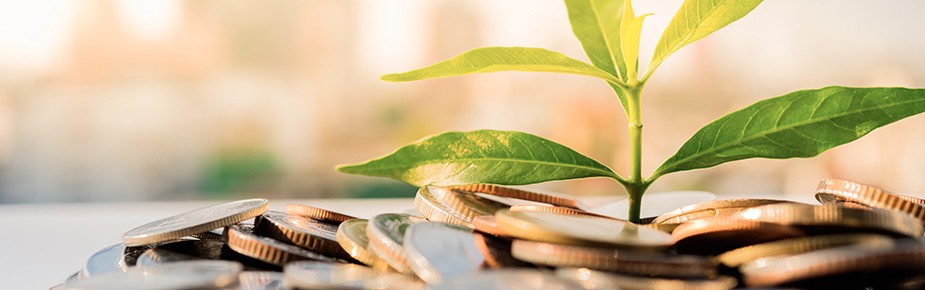 Environmental taxation