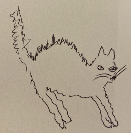 Simple sketch of a cat for a patent claim interpretation article