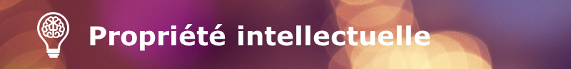 encart propri&eacute;t&eacute; intellectuelle 800x100