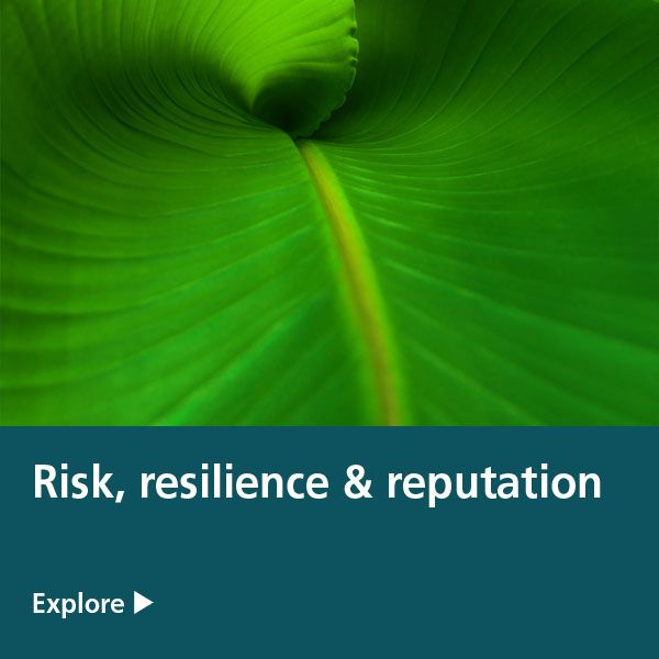 risk resilience reputation tile - banana leaf