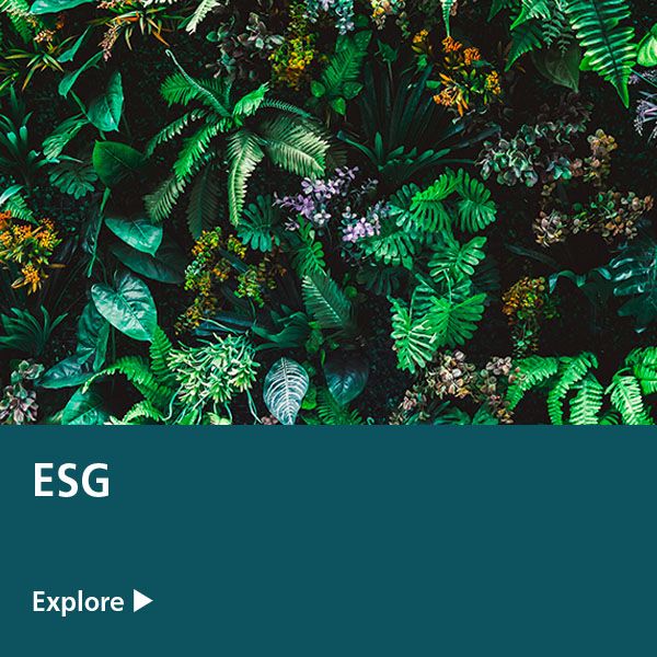  ESG Expertise tile