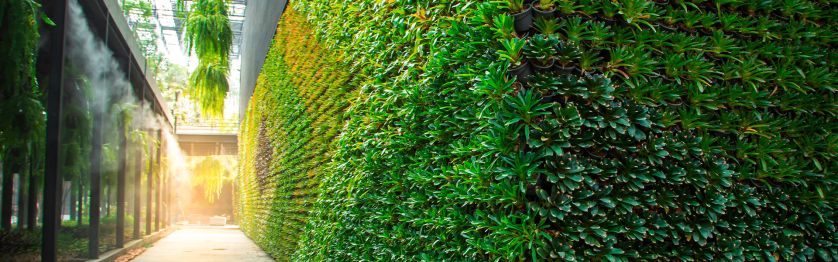 Green wall vertical garden friendly green nature eco friendly design landscape in building 1920x600.jpg