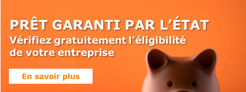 pr&ecirc;t garanti par l etat PGE 800x300