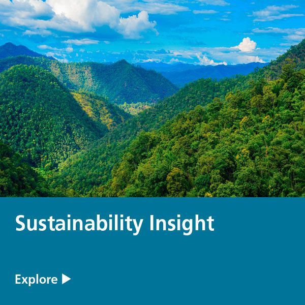 sustainability insight button