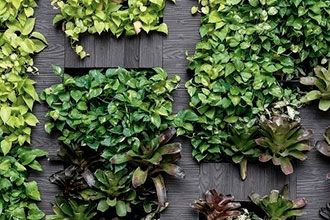 marches-de-capitaux-green-bonds-330