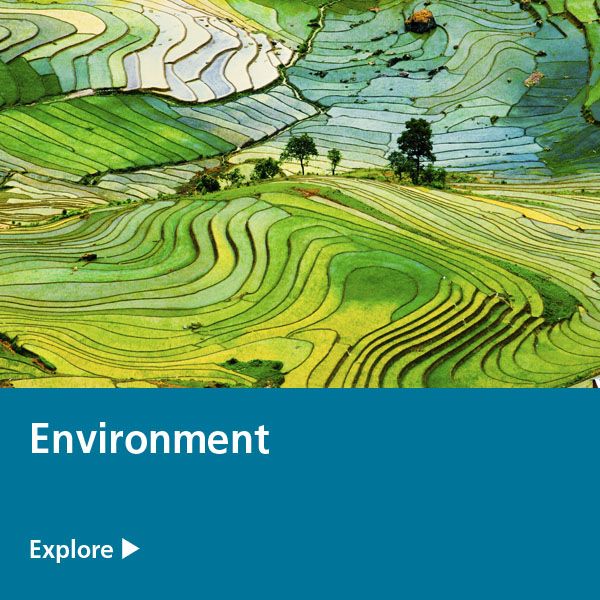 environment expertise tile
