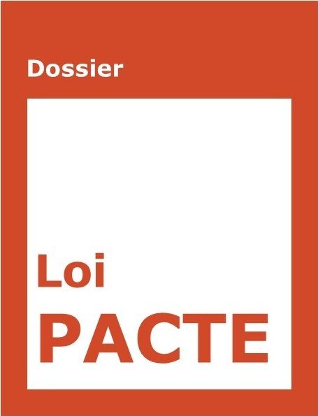loi pacte 455x595