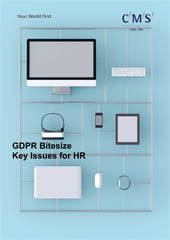 GDPR bitesize cover