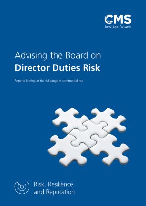 2207-0161265 (V14) BROC - Advising the Board  - Directors risk report.jpg