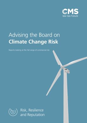 2102-0141425 BROC (v5) Advising the Board Report on... Climate Change Risk.jpg